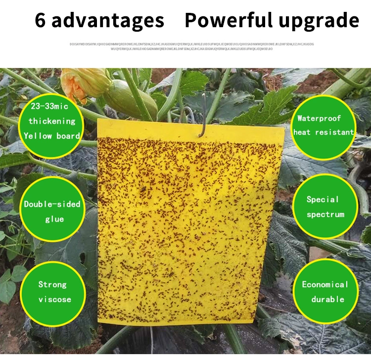 Yellow Sticky Insect Fly Glue Traps Board Pest Control Double Sides