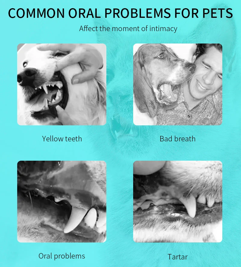 Teeth Formula Treat Drinking Dogs Formula Water Additive Pet Dental Care